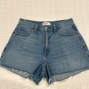 Abercrombie Curve 90s Relaxed Shorts